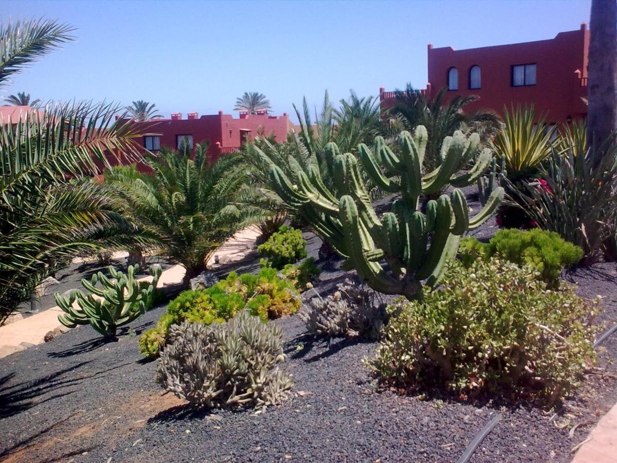 科拉雷侯Tamarindo I Piscinas De Agua Salada公寓 外观 照片