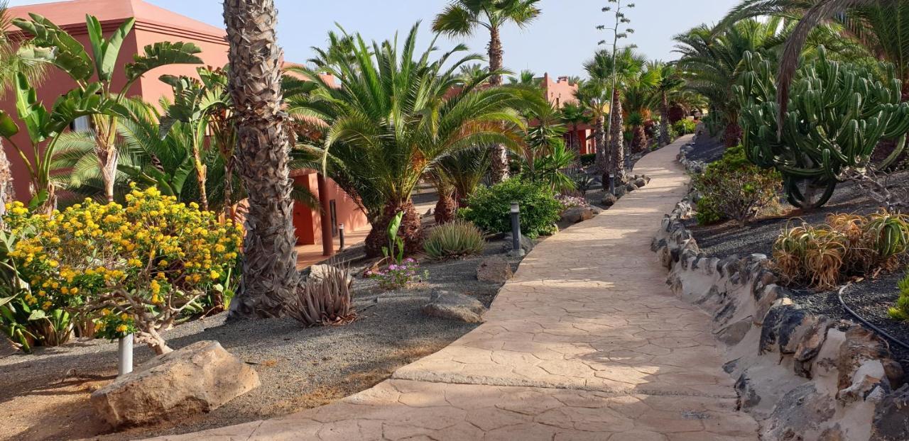 科拉雷侯Tamarindo I Piscinas De Agua Salada公寓 外观 照片