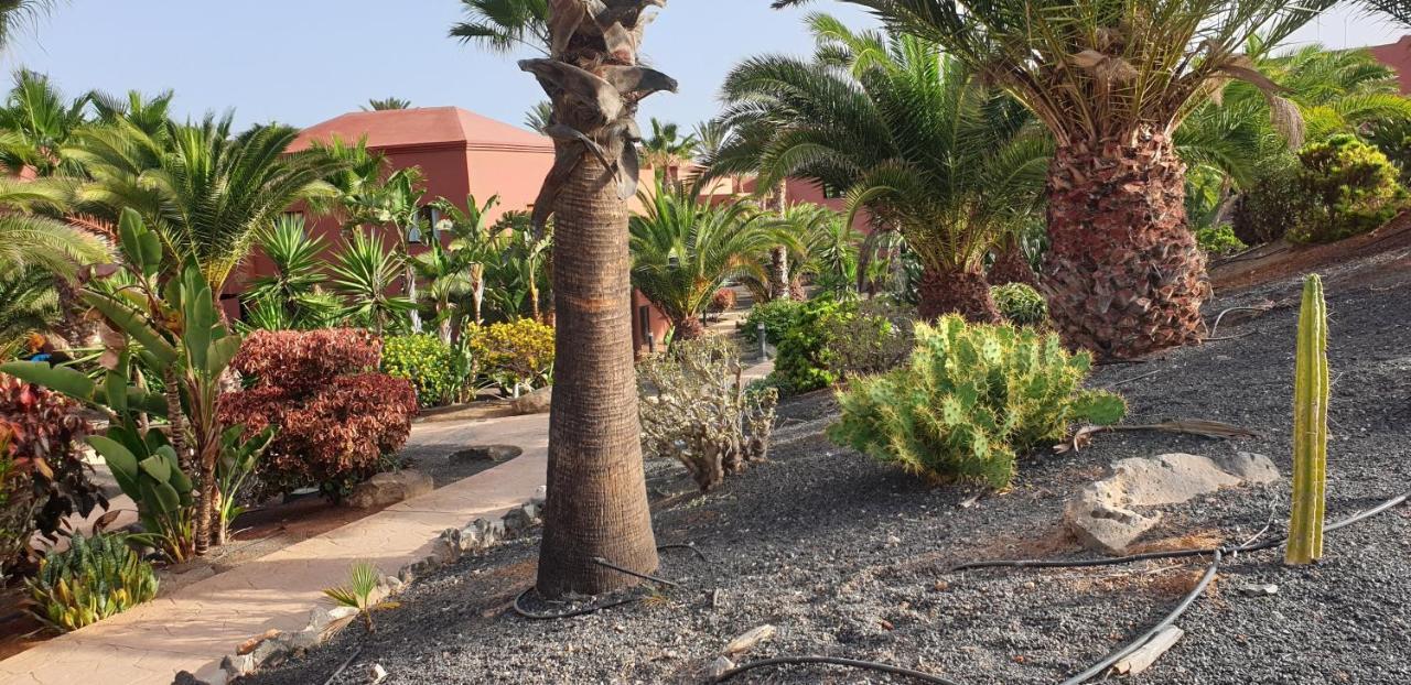 科拉雷侯Tamarindo I Piscinas De Agua Salada公寓 外观 照片